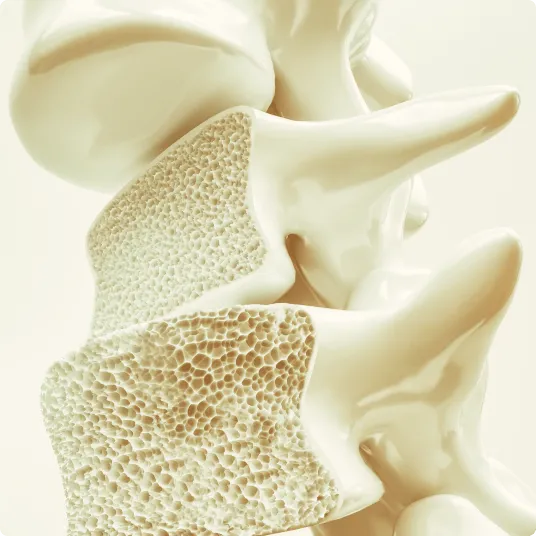bone density