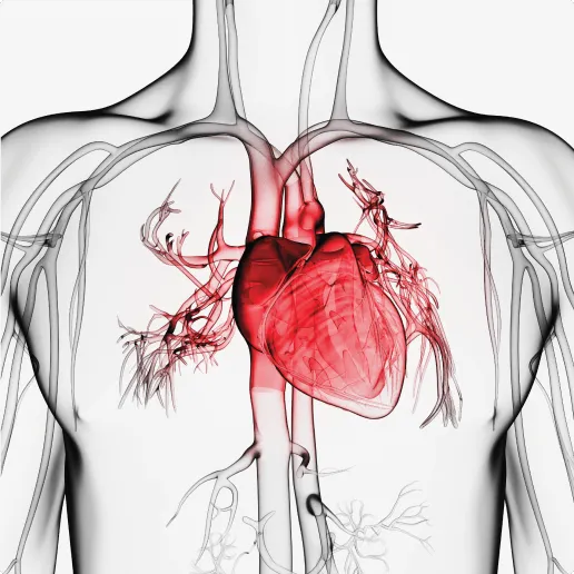 Early detection of heart disease