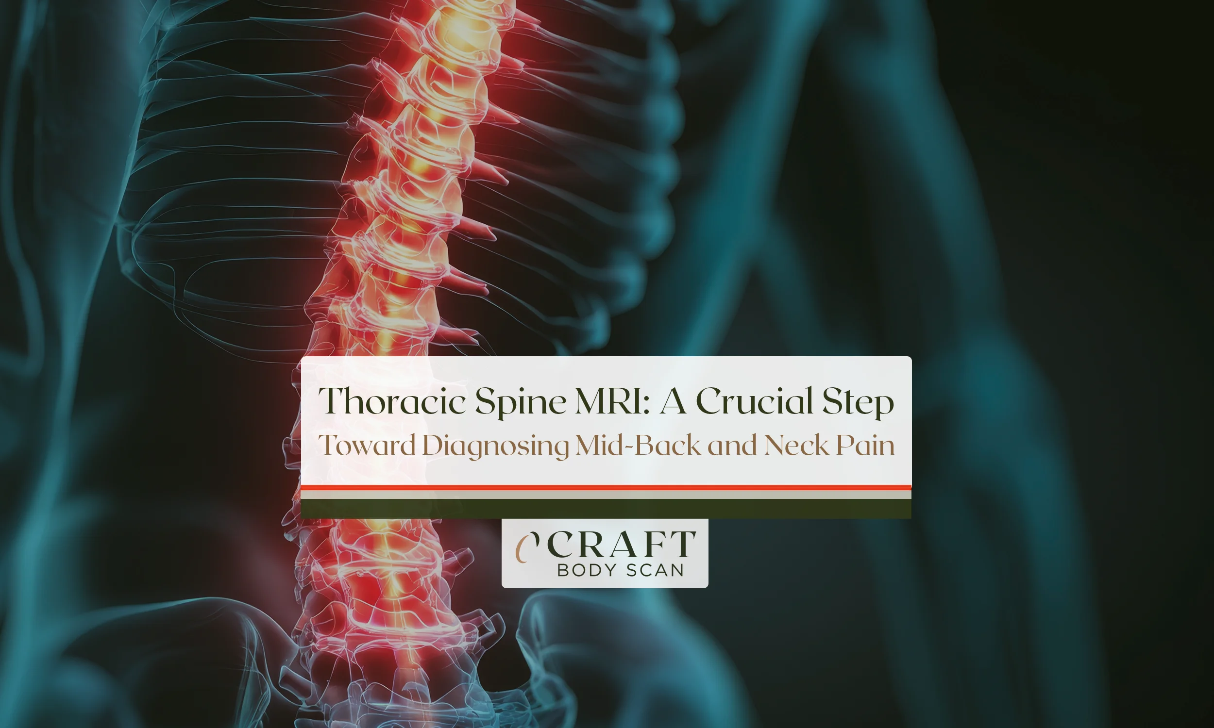 Thoracic spine MRI comprehensive guide showing detailed spinal imaging results and what diagnostic information it reveals